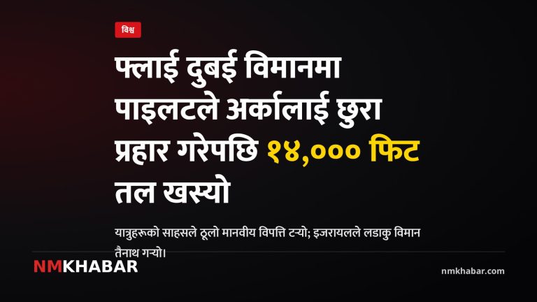 फ्लाई दुबई विमान दुर्घटना, पाइलट आक्रमण, यात्रुको साहस