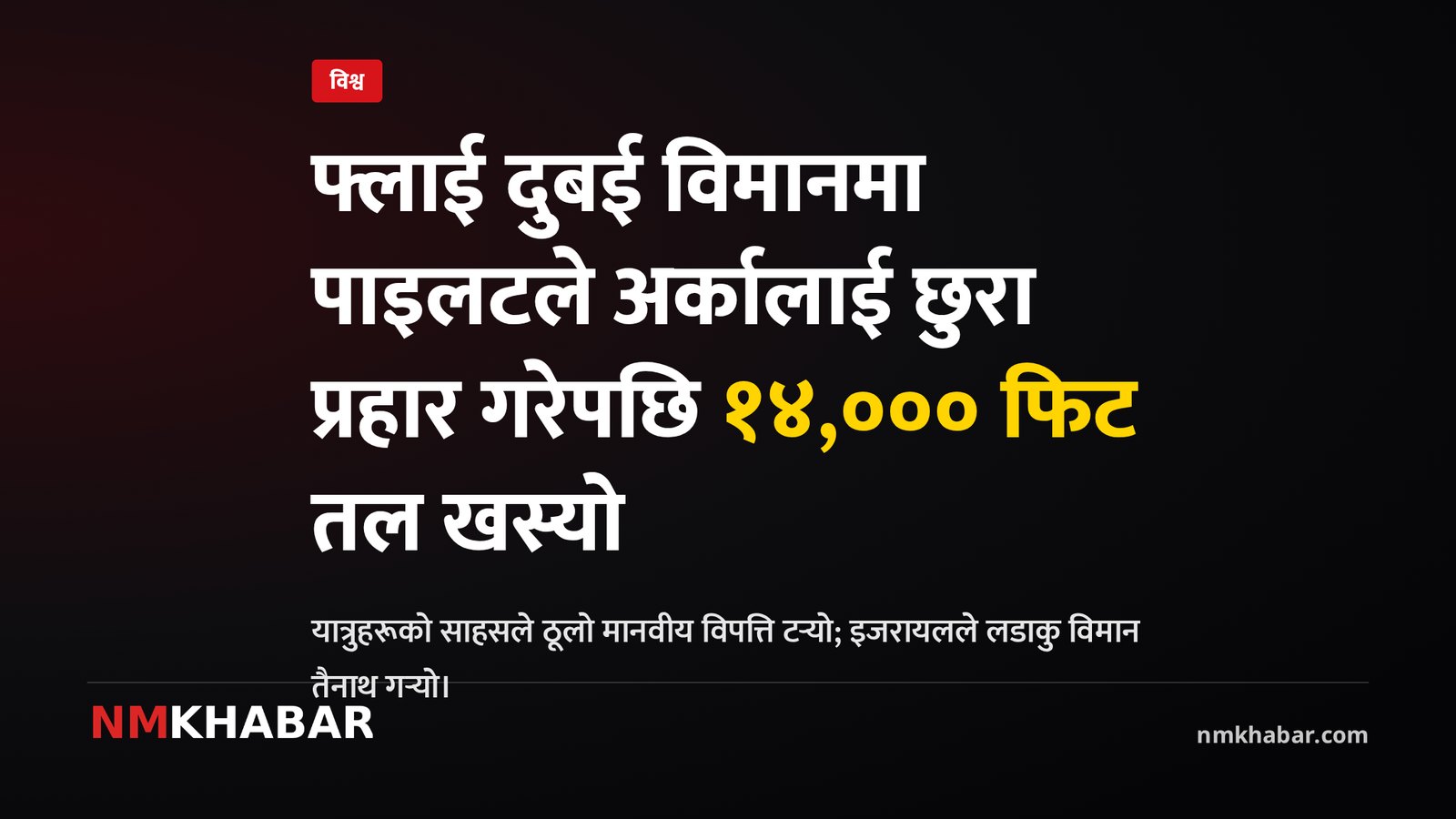 फ्लाई दुबई विमान दुर्घटना, पाइलट आक्रमण, यात्रुको साहस