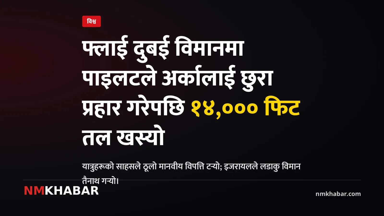 फ्लाई दुबई विमान दुर्घटना, पाइलट आक्रमण, यात्रुको साहस