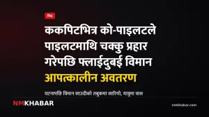 फ्लाईदुबई विमान, ककपिट आक्रमण