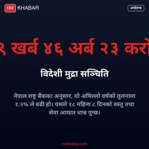 विदेशी मुद्रा सञ्चिति