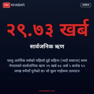 सार्वजनिक ऋण