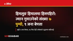 हिमलुङ हिमपहिरो, मनाङ हिमपहिरो