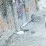 बालिका अपहरण प्रयास धनुषा