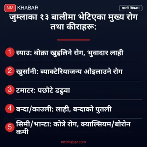 जुम्ला बाली उपचार शिविर