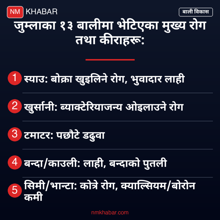 जुम्ला बाली उपचार शिविर