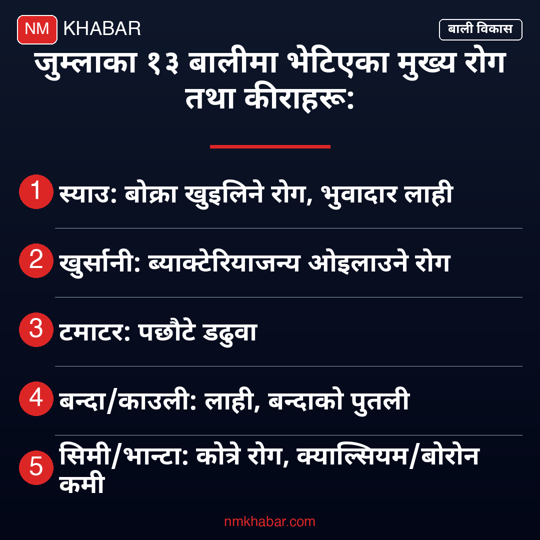 जुम्ला बाली उपचार शिविर