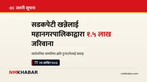काठमाडौं महानगर जरिवाना, सडकपेटी खन्ने, सार्वजनिक सम्पत्ति