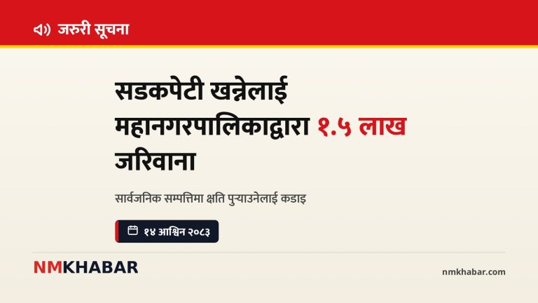 काठमाडौं महानगर जरिवाना, सडकपेटी खन्ने, सार्वजनिक सम्पत्ति