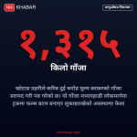 खोटाङ गाँजा बरामद
