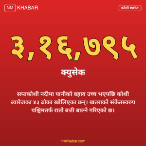 कोशी ब्यारेज ढोका
