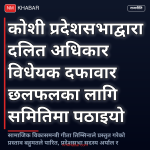 दलित अधिकार विधेयक