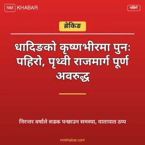 कृष्णभीर पहिरो