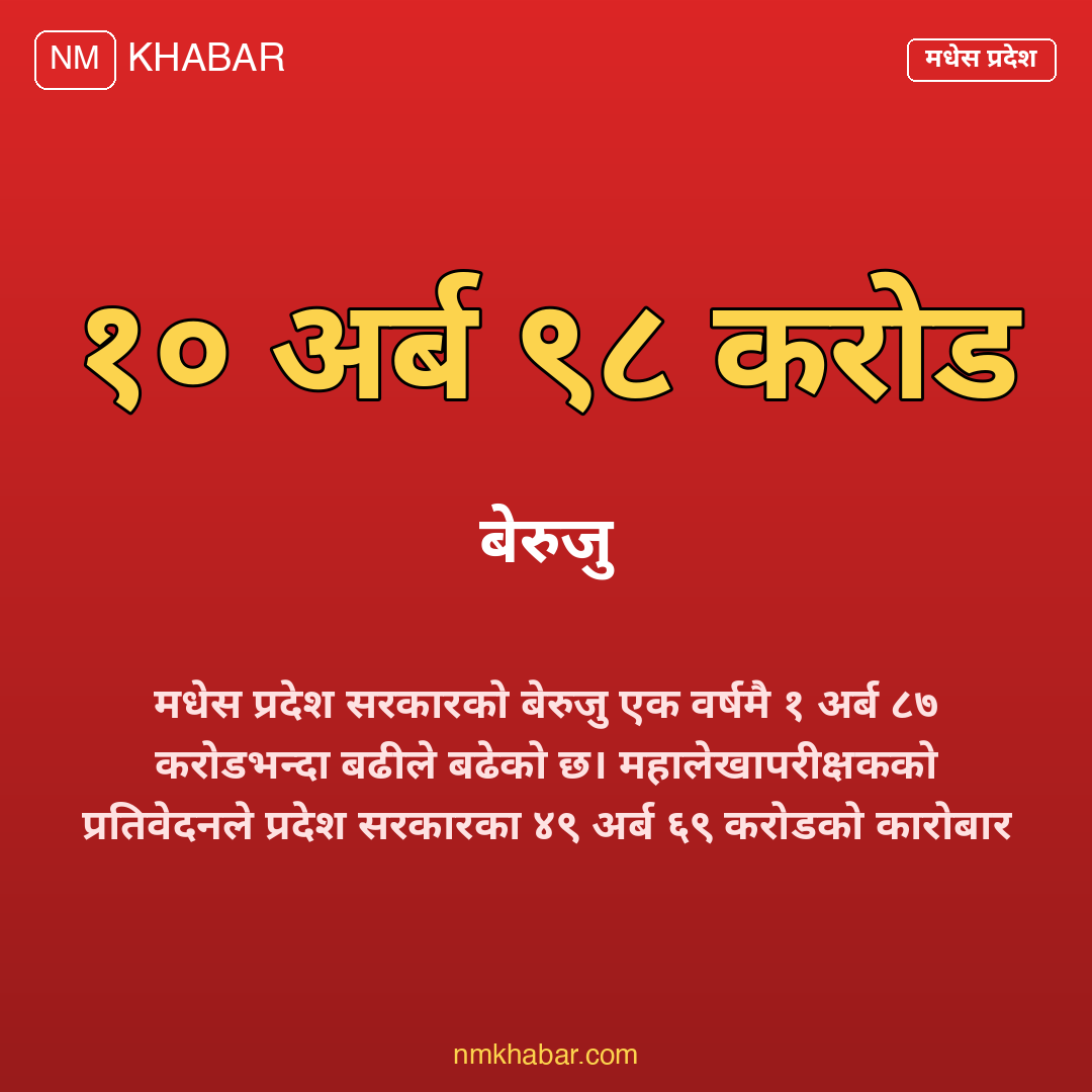 सरकारी बेरुजु