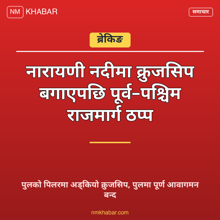 नारायणी पुल क्रुजसिप