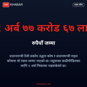 प्रधानमन्त्री राहत कोष