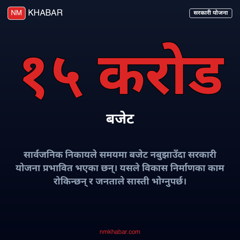 सार्वजनिक निकाय बजेट ढिलाइ
