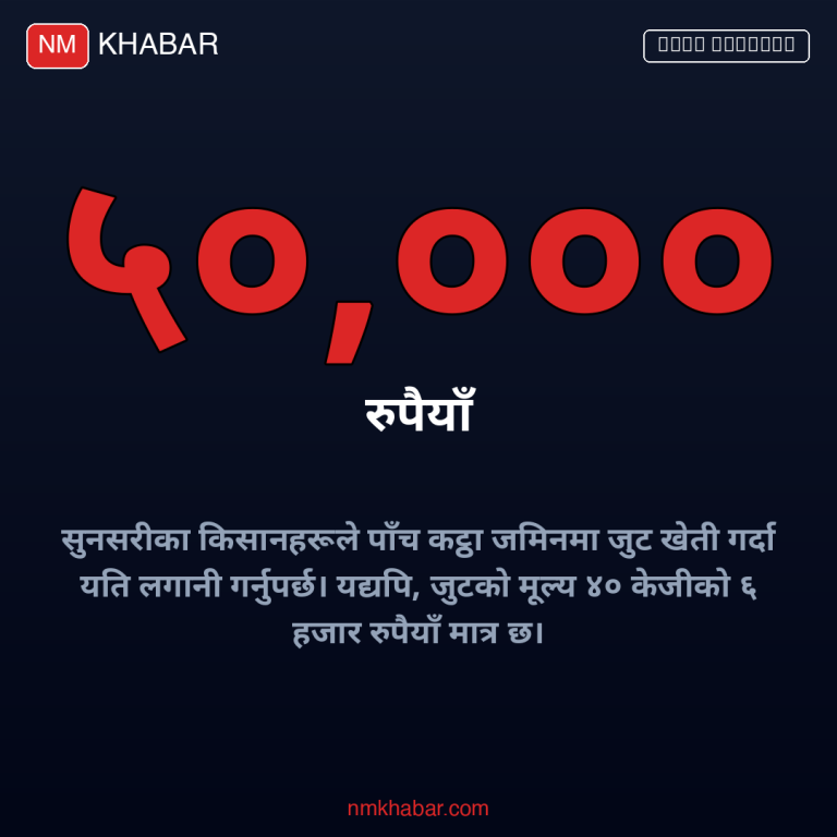 सुनसरी जुट खेती