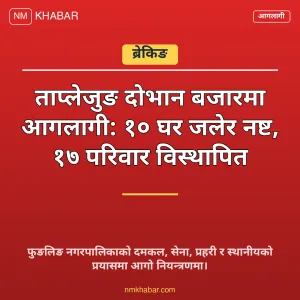 दोभान बजार आगलागी