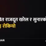 राजदूत सिफारिस