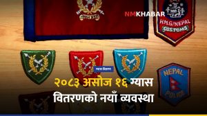 ग्यास आपूर्ति सहज, सुरक्षा निकाय ग्यास