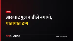 आरुघाट बाढी
