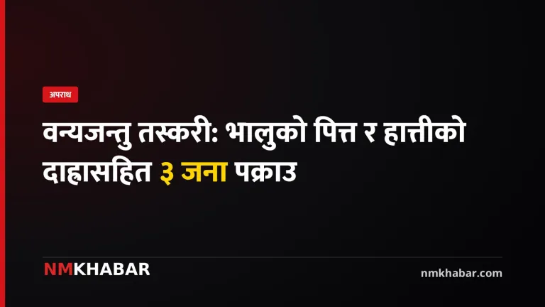 वन्यजन्तु तस्करी, भालुको पित्त