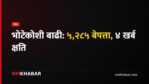 भोटेकोशी बाढी: ५,२८५ बेपत्ता, पुनर्निर्माणमा जोड; बेत्रावतीमा बेलीब्रिज आवश्यक