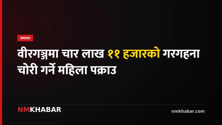 वीरगञ्ज गरगहना चोरी