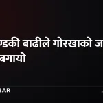 बूढीगण्डकी बाढी