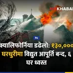 क्यालिफोर्निया डढेलो