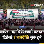 कांग्रेस महाधिवेशन मतदान