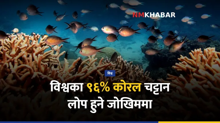 कोरल चट्टानहरू
