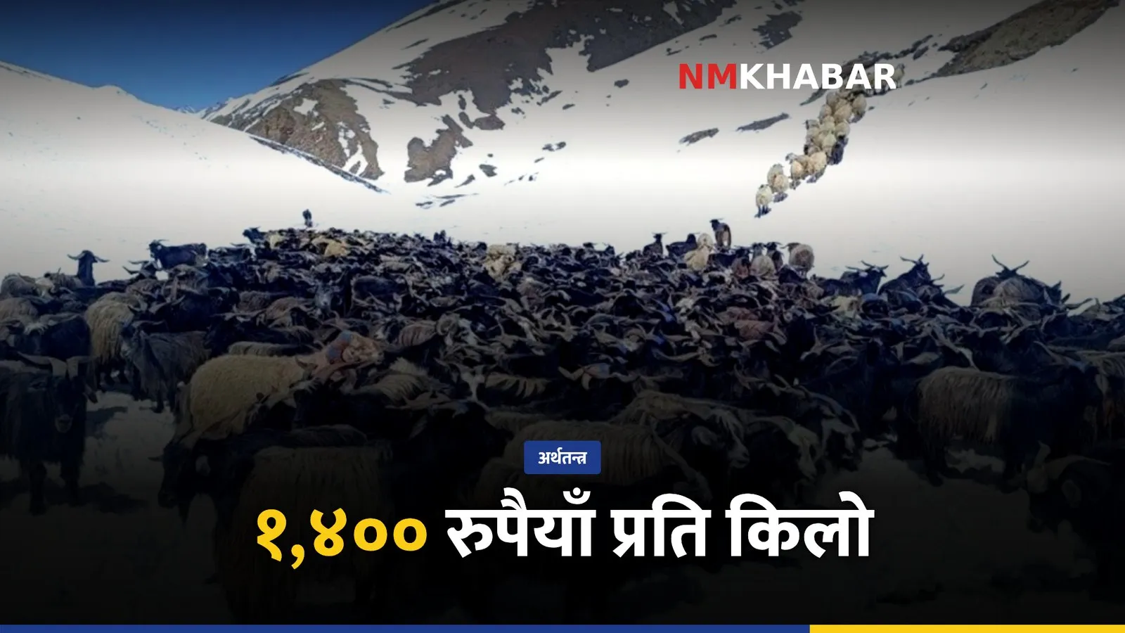 च्याङ्ग्रा मूल्य दशैं