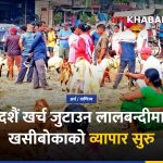 दशैं खसीबोका कारोबार