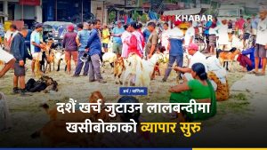 दशैं खसीबोका कारोबार