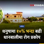 धनुषा धानबाली