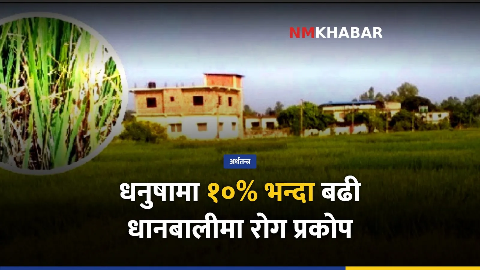 धनुषा धानबाली