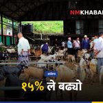 धरान खसीबोका कारोबार