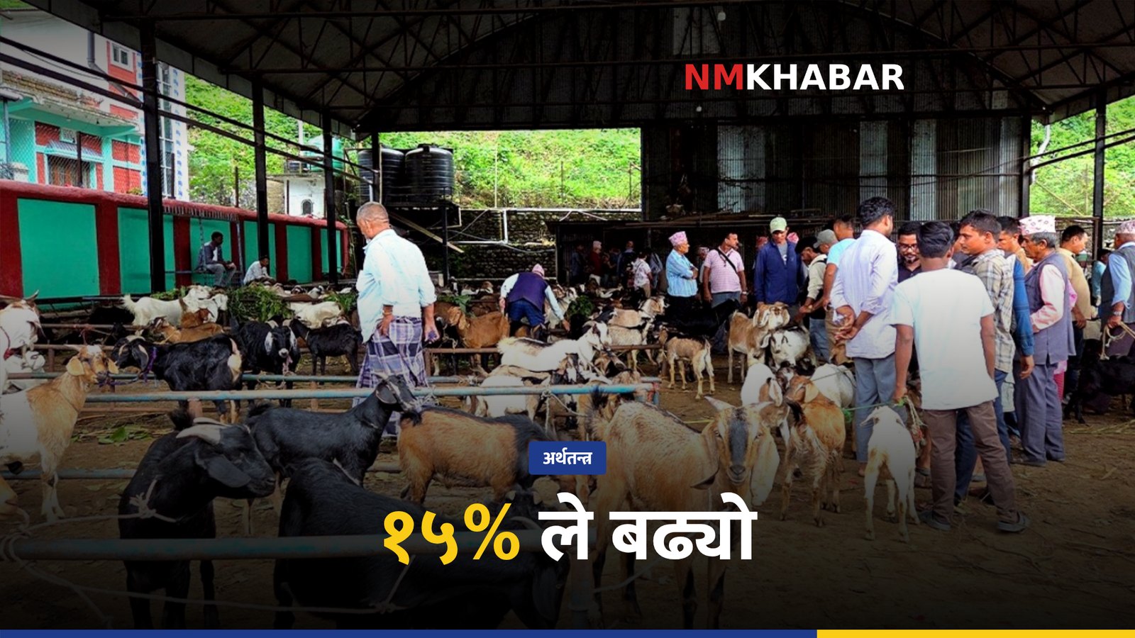 धरान खसीबोका कारोबार