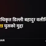 नापी अधिकृत घुस, डिल्ली बहादुर वली