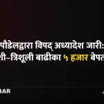 विपद् अध्यादेश
