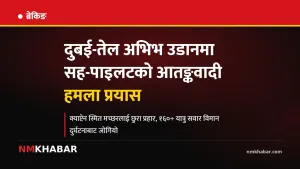 दुबई तेल अभिभ विमान दुर्घटना प्रयास