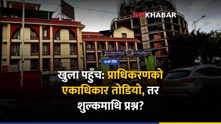 विद्युत ह्विलिङ शुल्क
