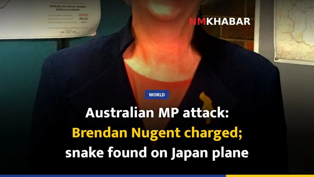 Australian MP attack: Brendan Nugent charged; snake found on Japan plane