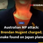 Australian MP attack: Brendan Nugent charged; snake found on Japan plane