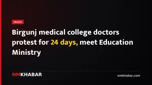 Birgunj medical college doctors protest for 24 days, meet Education Ministry