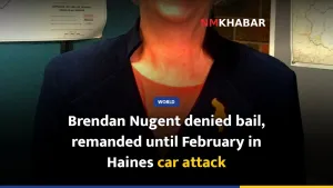 Brendan Nugent denied bail, remanded until February in Haines car attack
