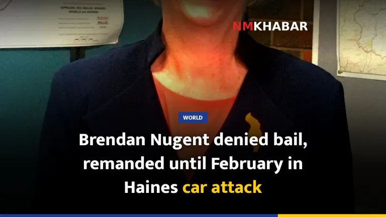 Brendan Nugent denied bail, remanded until February in Haines car attack