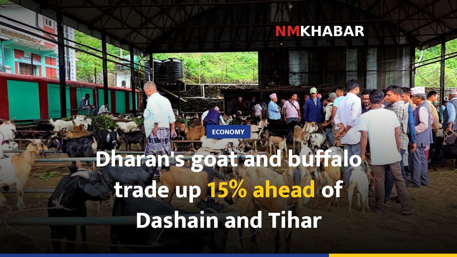 Dharan's goat and buffalo trade up 15% ahead of Dashain and Tihar